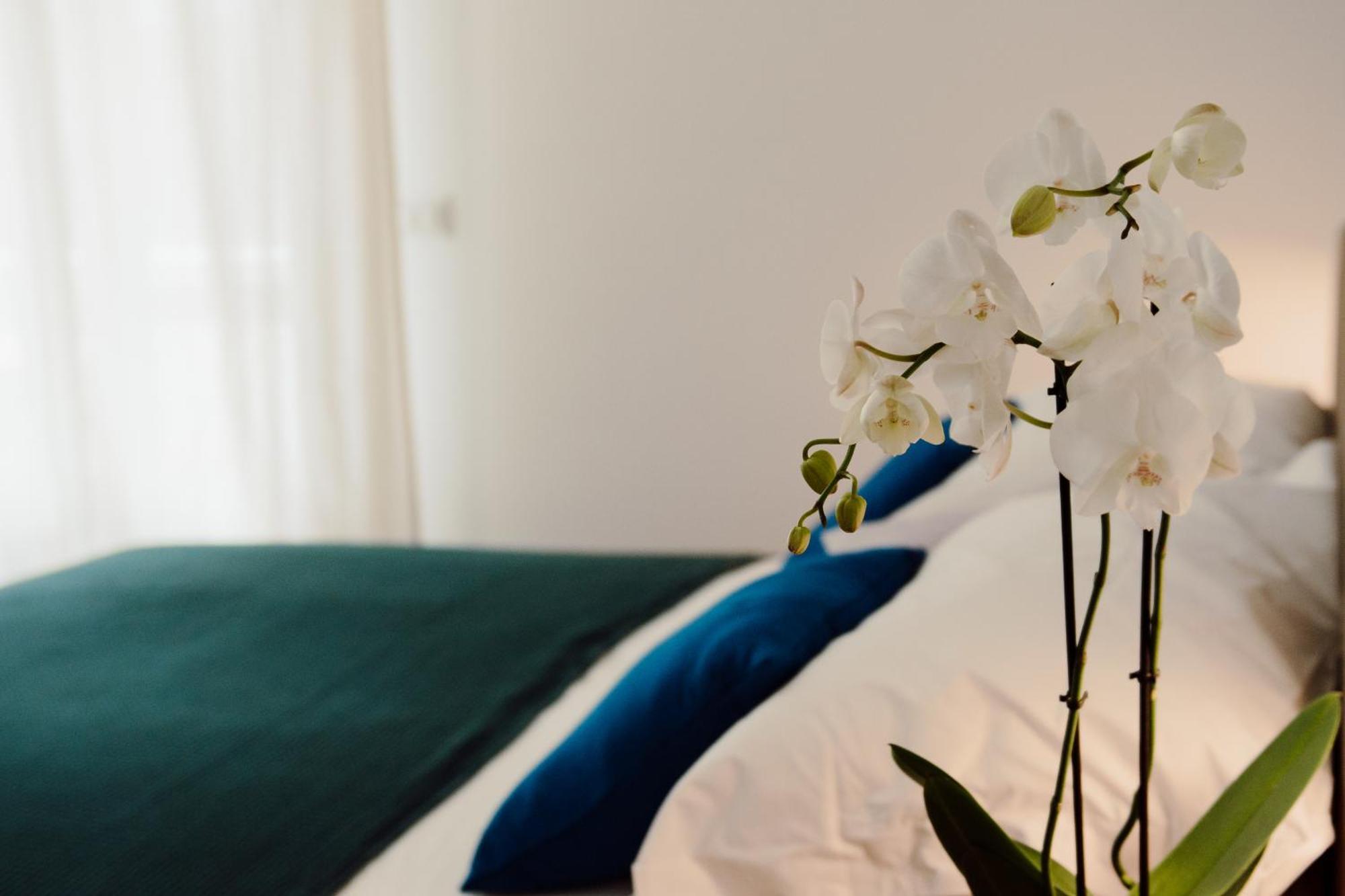 Sweet Dreams Hotel Civitavecchia Ngoại thất bức ảnh